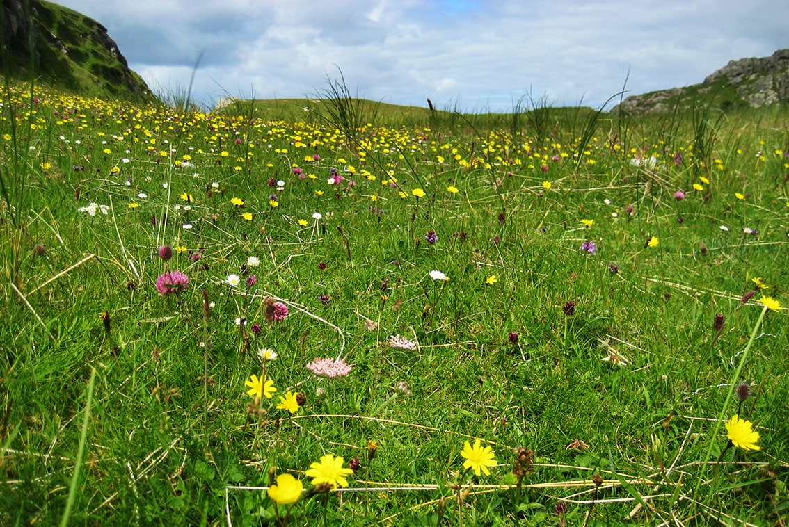 Timsgarry Byre is a self catering accommodation in the beautiful Isle of Lewis