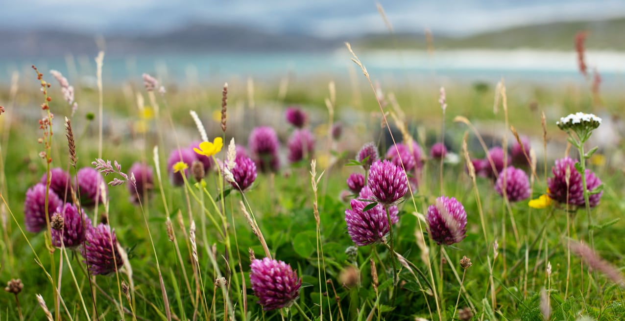 Timsgarry Byre is a self catering accommodation in the beautiful Isle of Lewis