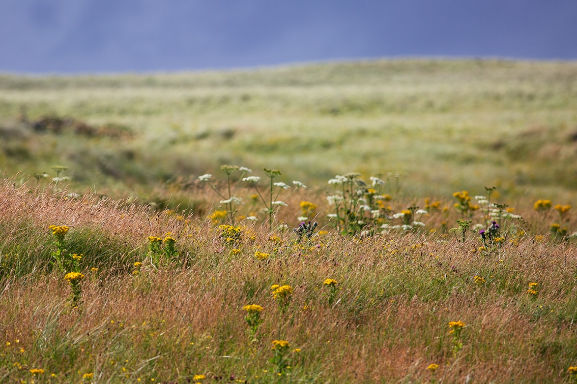 Timsgarry Byre is a self catering accommodation in the beautiful Isle of Lewis