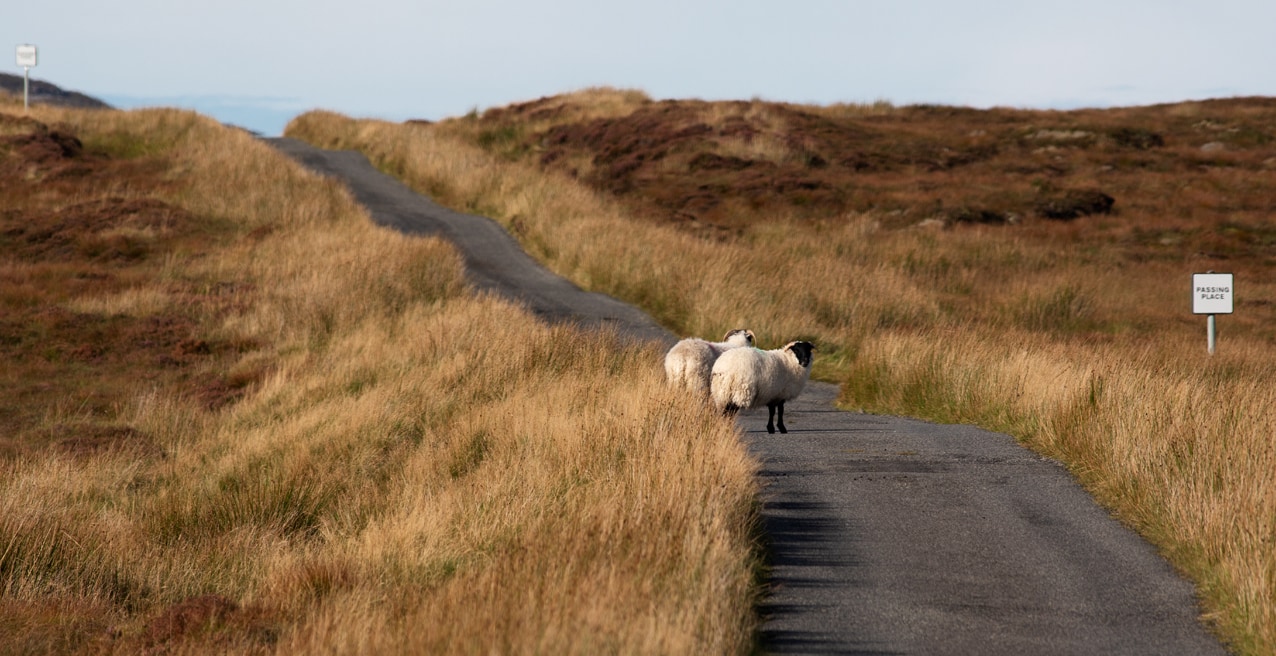 Timsgarry Byre is a self catering accommodation in the beautiful Isle of Lewis Timsgarry Byre is a self catering accommodation in the beautiful Isle of Lewis