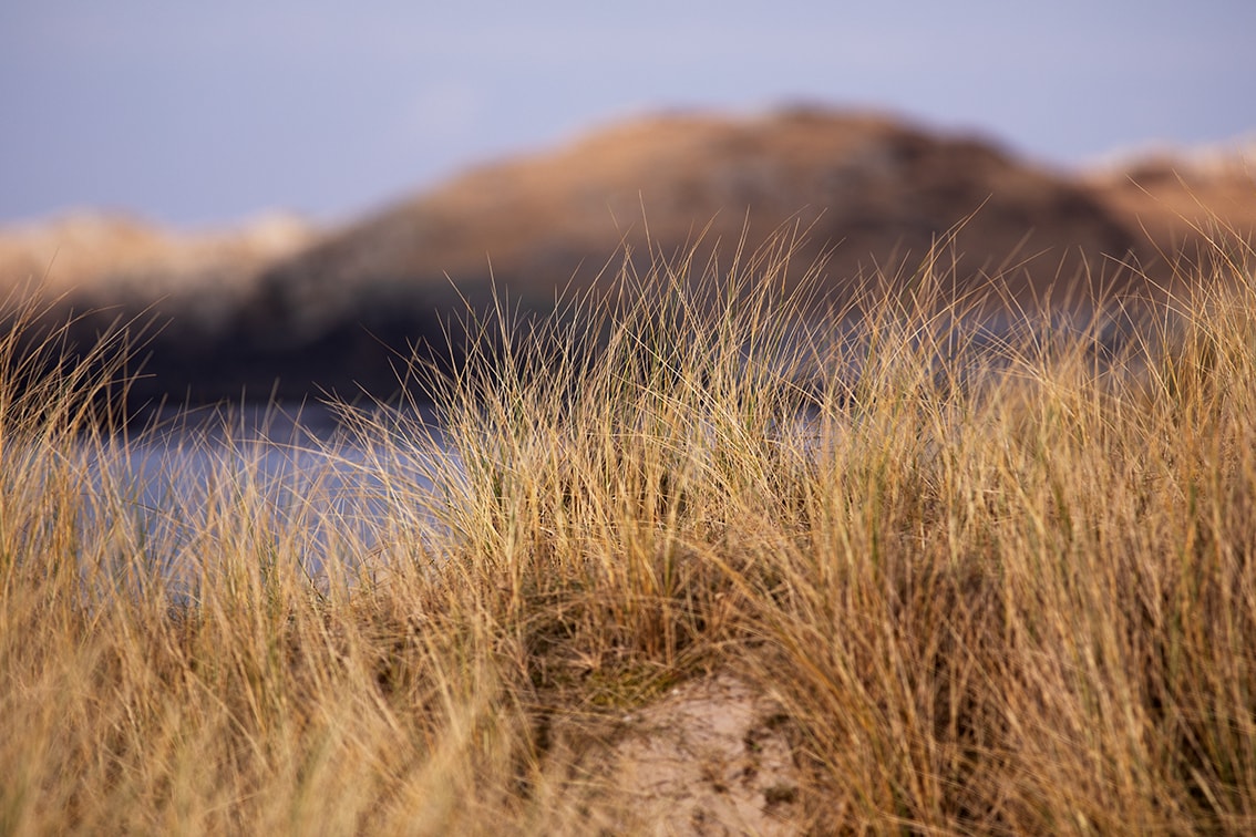 Timsgarry Byre is a self catering accommodation in the beautiful Isle of Lewis