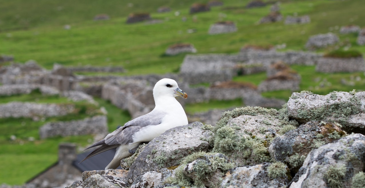 Timsgarry Byre is a self catering accommodation in the beautiful Isle of Lewis