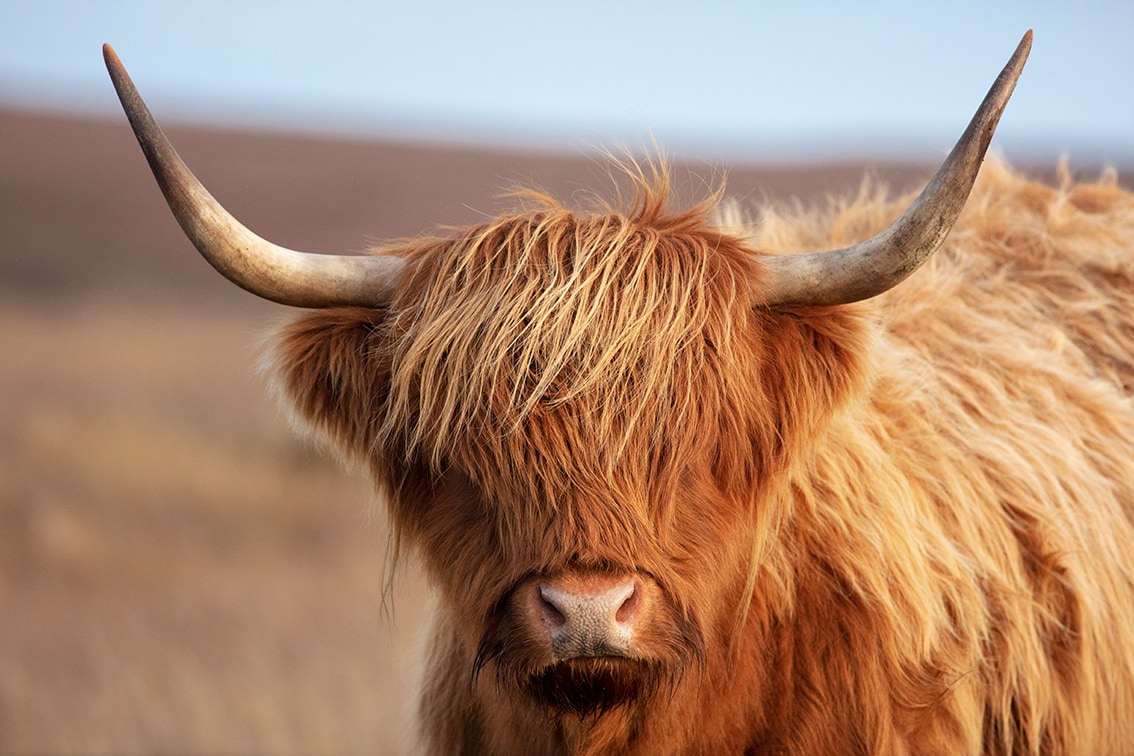 Timsgarry Byre is a self catering accommodation in the beautiful Isle of Lewis